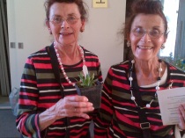 Helen Craig (left) won a baby cardinal flower. She and sister Lois are regulars at the Carp dinners.